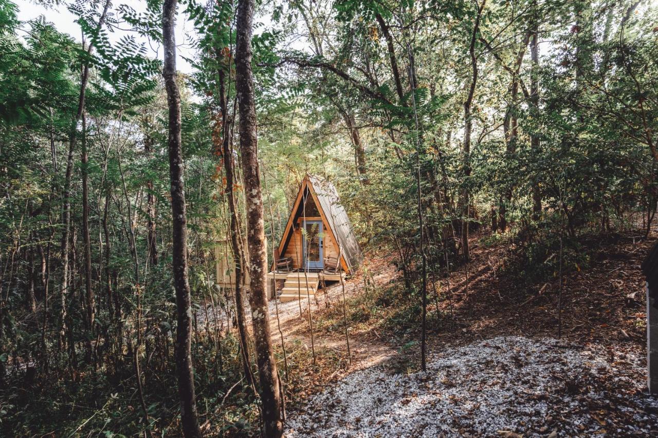 Appartement Blue Brambler Glamping A-Frame à Rockbridge Extérieur photo