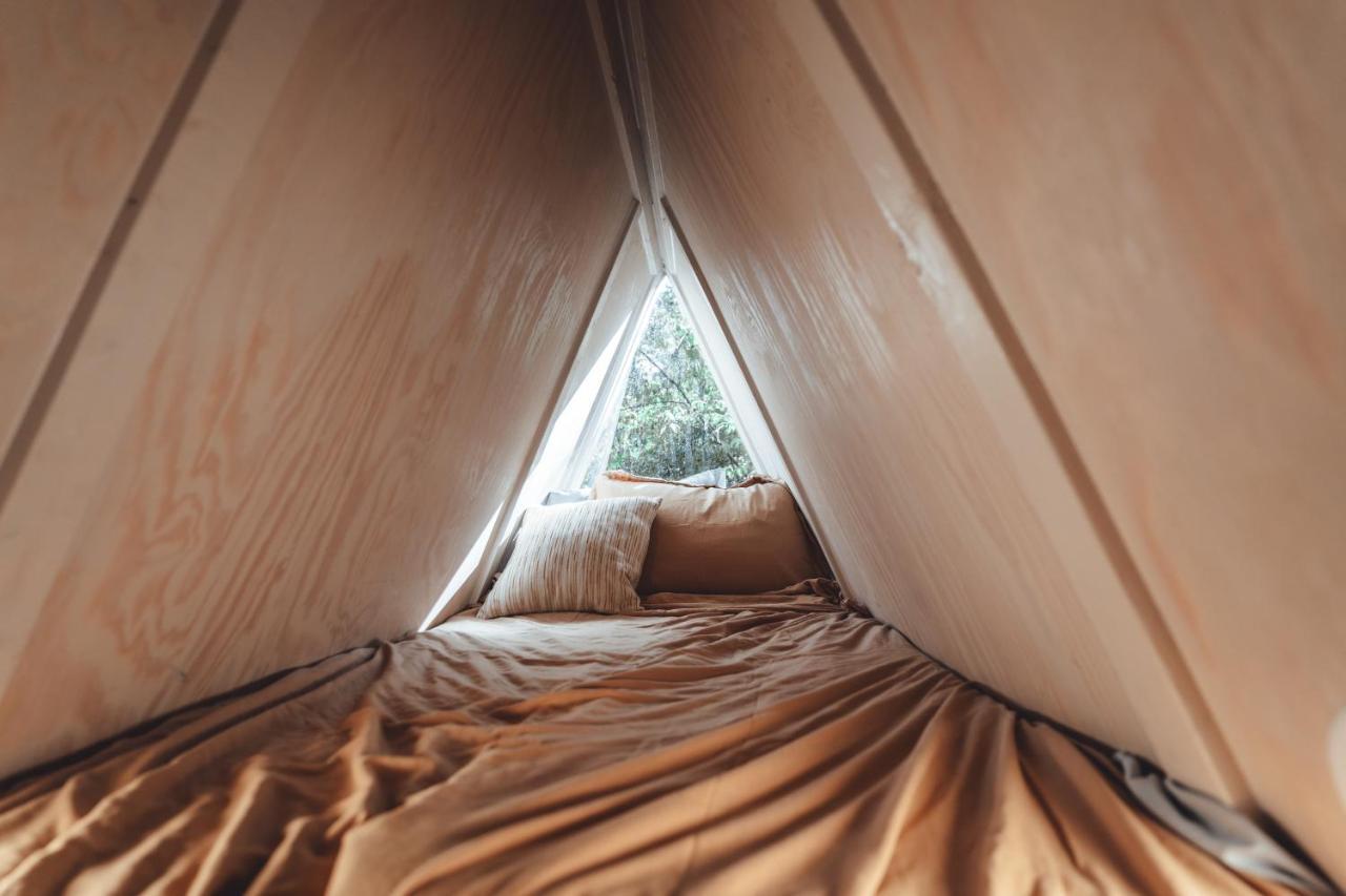Appartement Blue Brambler Glamping A-Frame à Rockbridge Extérieur photo
